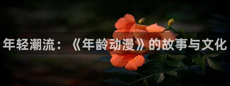 91动漫免费动漫高清版：年轻潮流：《年龄动漫》的故事与文化