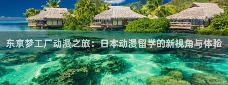 91动漫在：东京梦工厂动漫之旅：日本动漫留学的新视角与体验