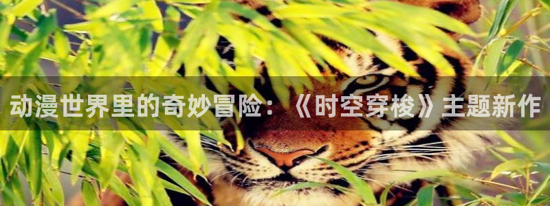 91动漫国产入口动漫：动漫世界里的奇妙冒险：《时空穿梭》主题新作